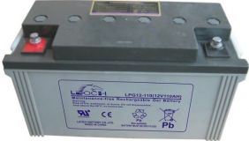 Leoch LPG 12-110